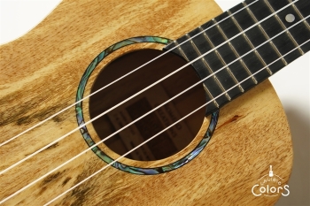 Romero Concert Spalted Mango